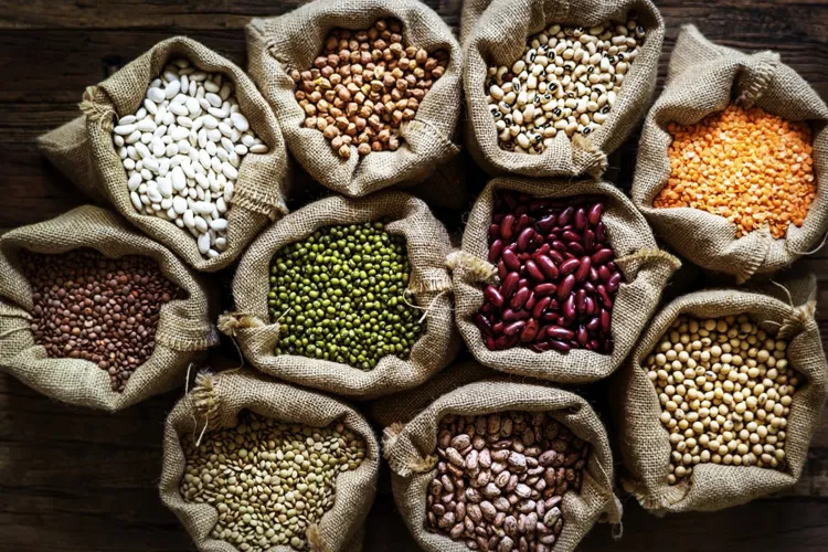 Gıda Endüstrisi Dağıtımı